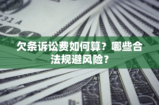 济南欠条诉讼费如何算？哪些合法规避风险？